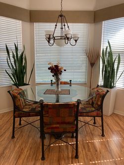 Large Snake Plant in White Planter