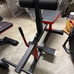 Seated Calf Machine