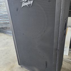 Vintage peavey bass