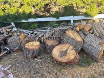 Fire pine wood  $ 200