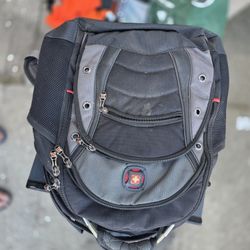 Swiss gear Carry Bag