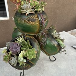 4 Un 1 Ceramic Green Pot With Mix Succulents 