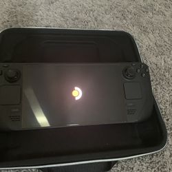 STEAM SECK OLED 