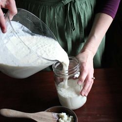 Fresh Milk Kefir $7/pint