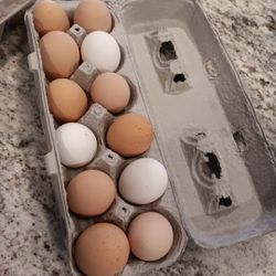 Farm Fresh Eggs