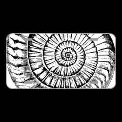 License Plate Novelty Car Front Sketch Shell Sea Water Ocean