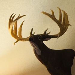 1/2 Scale 3D Printed Whitetail Shoulder Mount