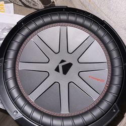 12” Subwoofer