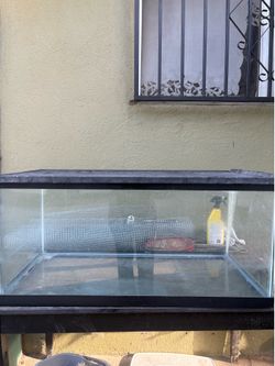 Fish/reptile tank