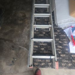 Ladder
