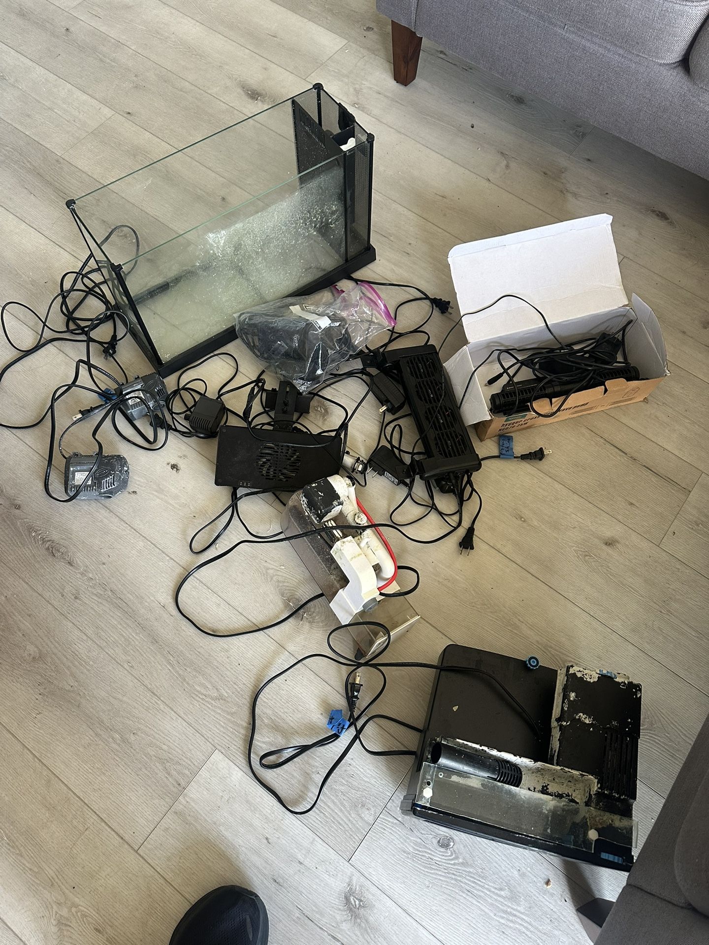 Basic Saltwater Fish Tank Equipment