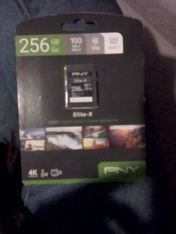 PNY Elite-X 256GB SD Card