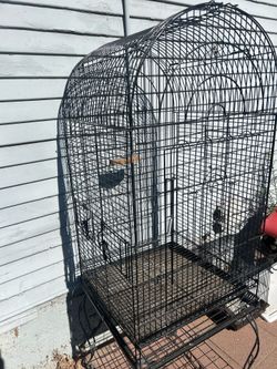 Bird cage