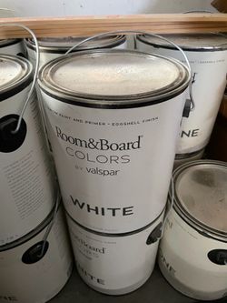 Room & Board Paint
