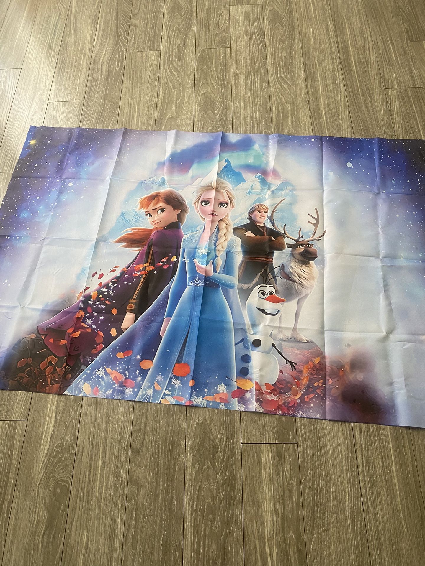 Frozen Theme Party Backdrop