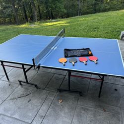 Table Tennis / Ping Pong Table