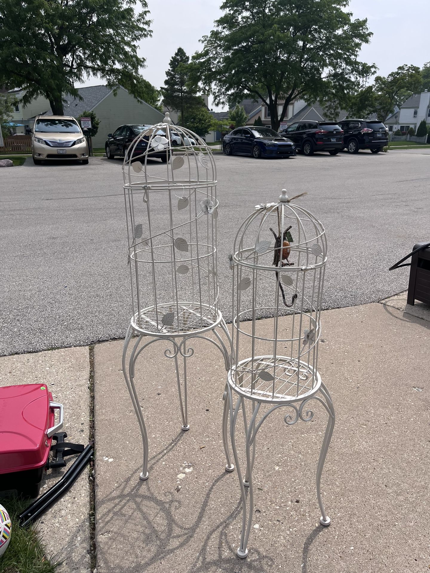 Bird Cages