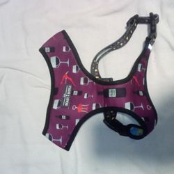 Dog Harness & Matching Leash