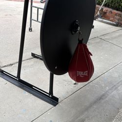 Everlast Speed Bag 