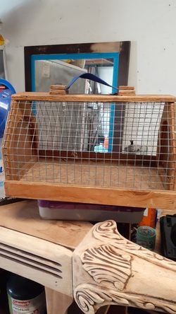 Cage