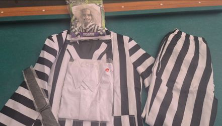 Beetlejuice Halloween Costume