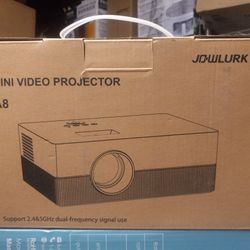 Projector