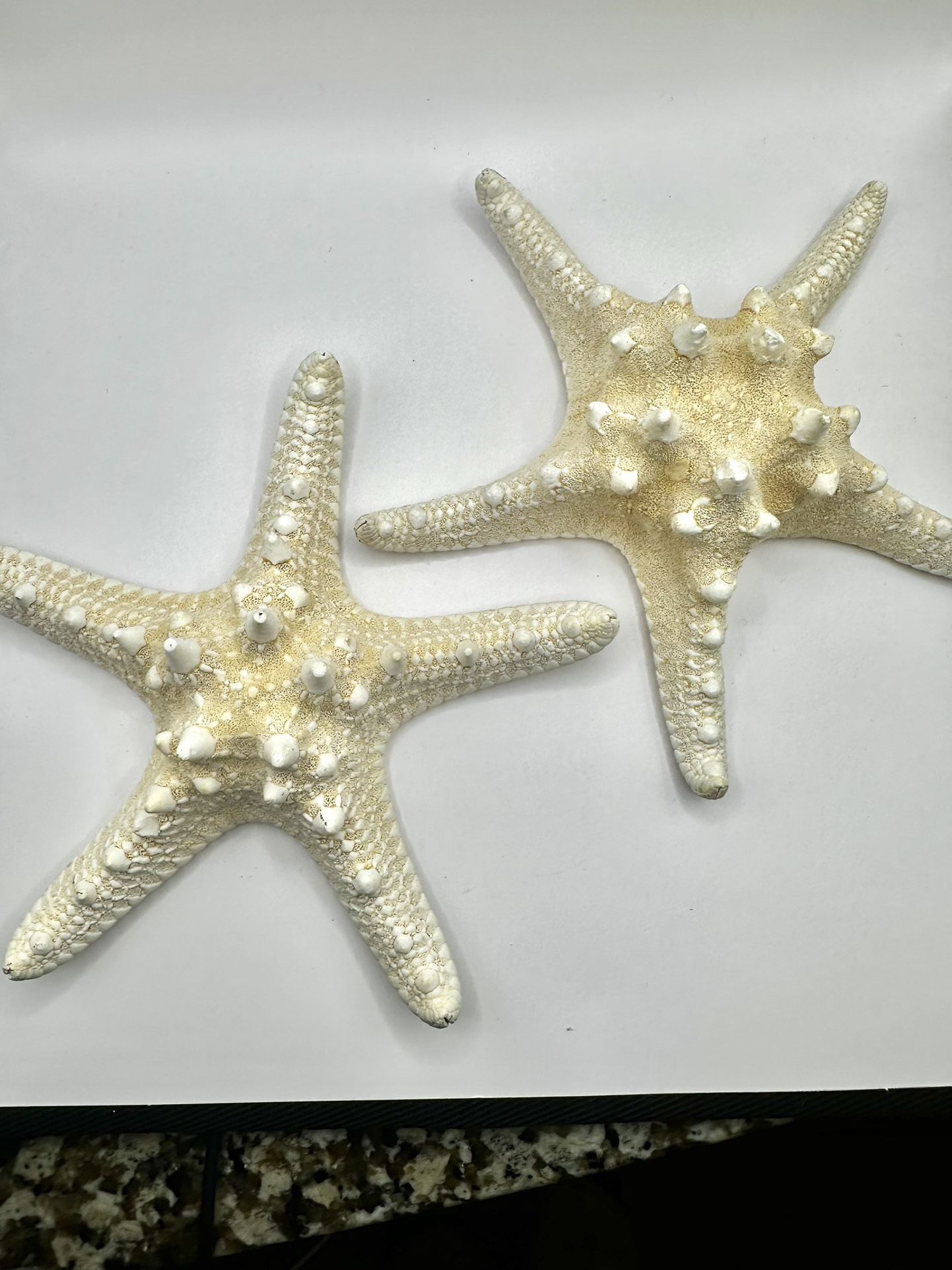 Set of 2 6" Real Dried Knobby Starfish White Collectible