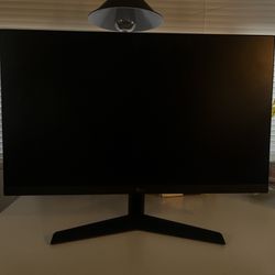 LG Monitor 