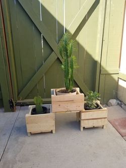 planteras Y Plantas A Muy Buen Precio