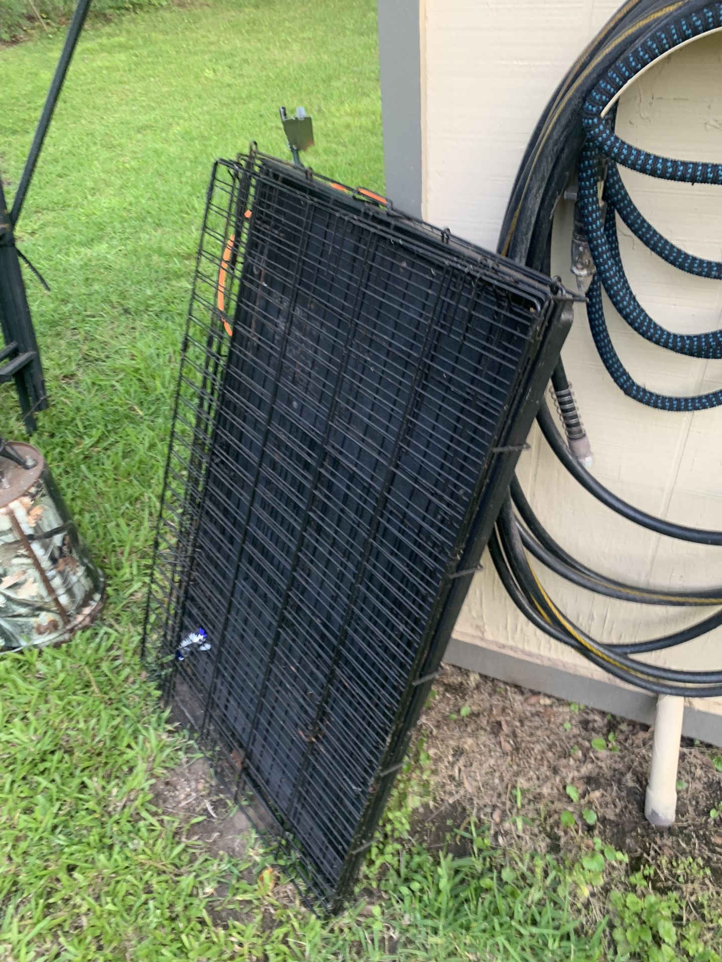 Folding Dog Crate