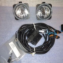 Brand New Set Of Fog Lights For A Roush Mustang 99 To 04 Body Style With Complete Harness This Is OEM Parts