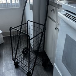 Shopping / Laundry Cart $20