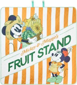 Original Disney Picnic Blanket (brand new)