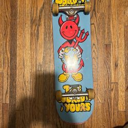 World Industries Complete Skateboard