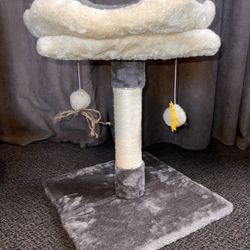 Brand New Cat Scratcher Tower Perch Bed Kitten Small Cat
