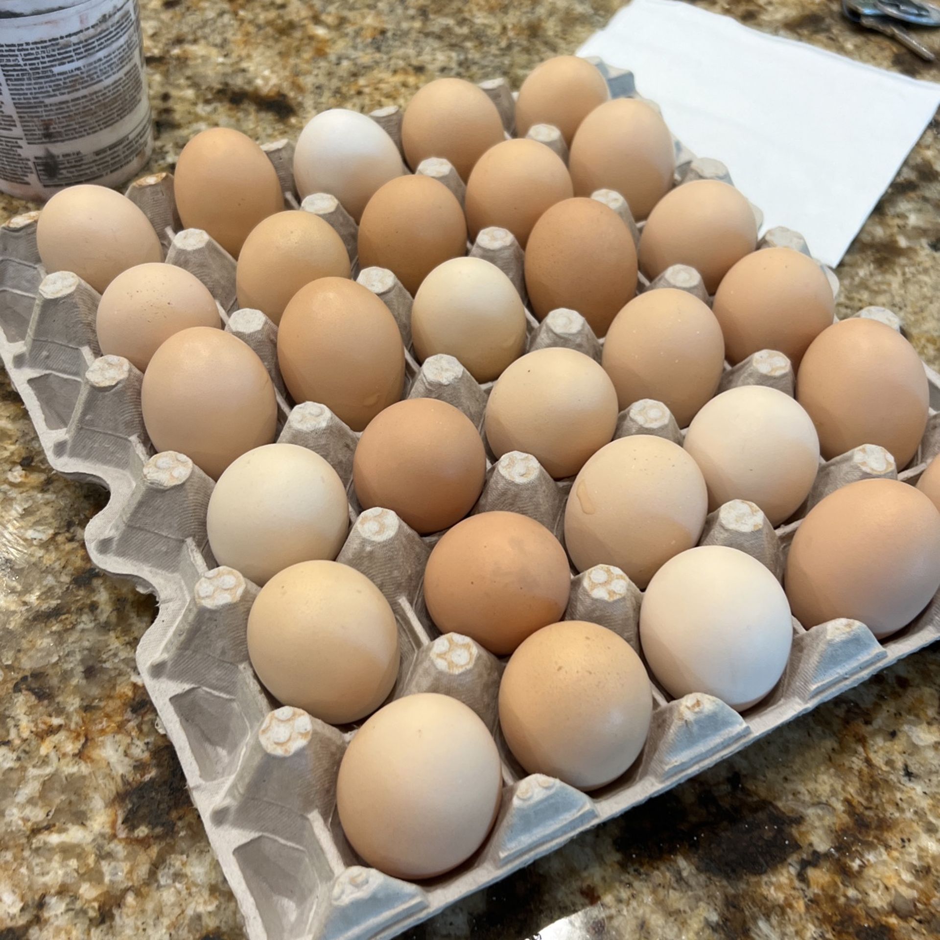 Farm Fresh Eggs