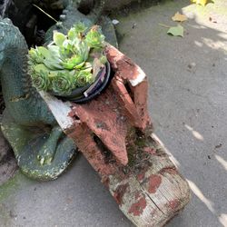 wooden boots with succulents 