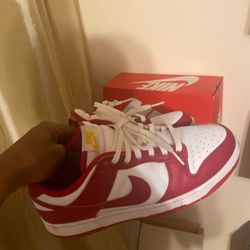 USC dunks 