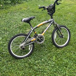 Torrid Magna Bike