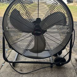 Fan 