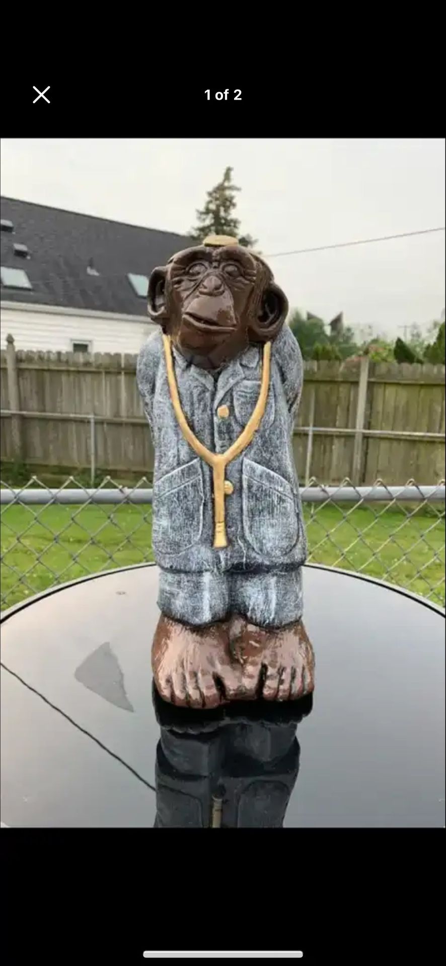 The Monkey Doctor Statue