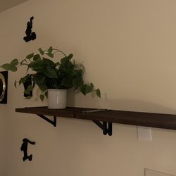 Floating Wall Shelves