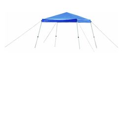 Canopy 10x10