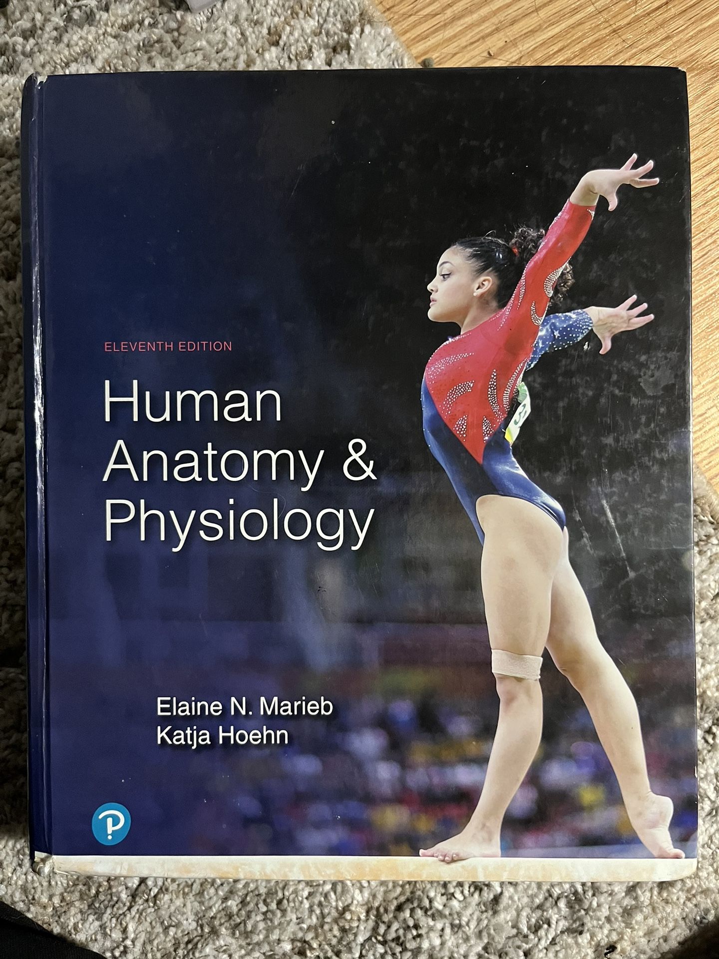 Human Anatomy And Physiology