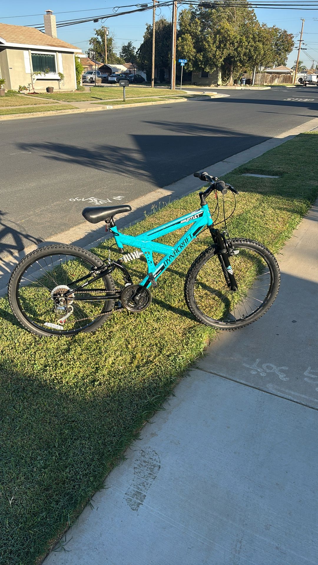 Mountain Bike Size 24 Dinacraft Gaunle. Good. Condition Ready To Rade.