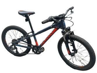 Cannondale trail 20 2019 sales