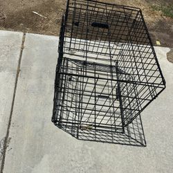 Dog Housing And Fence Take All For $60 Can Deliver For $10 Eee
