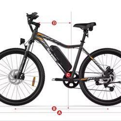 5th WHEEL ELECTRIC BIKE