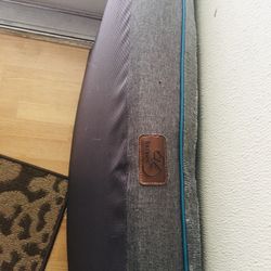 4 Inch Thick Dog Bed