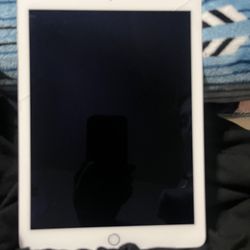 Apple iPad